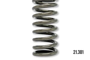 1813104 intake valve spring DAF XF 105-CF 85 Paccar | LENO